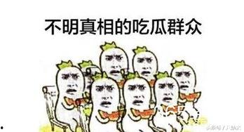 娱乐之星吃瓜群众,吃瓜群众的热议焦点