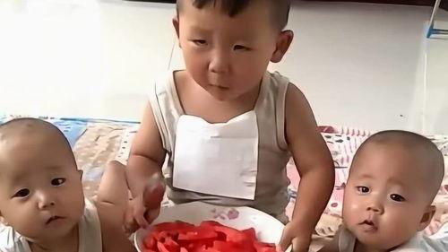 娱乐吃瓜酱哥哥和弟弟在线观看,哥哥弟弟在线观看，欢乐时光共享