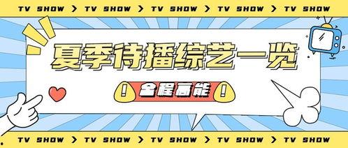 吃瓜娱乐公众号推荐,吃瓜群众必看的明星八卦大揭秘！