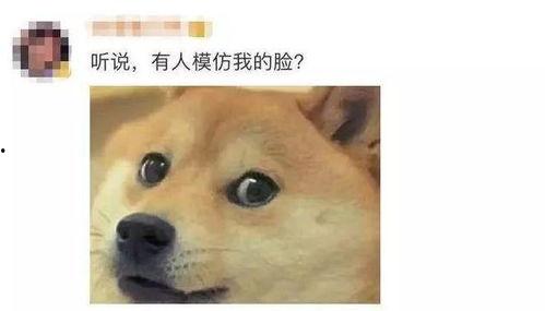 微信里面的表情吃瓜是什么意思,微信表情“吃瓜”背后的网络文化解读