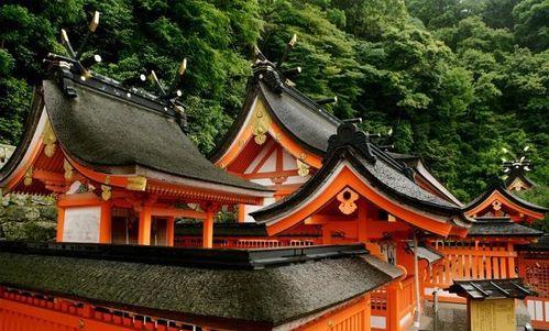 吃瓜寺寺娱乐圈