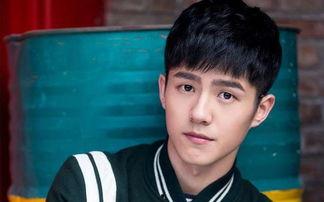 娱乐播报台任豪八卦吃瓜,娱乐圈的甜蜜瓜果