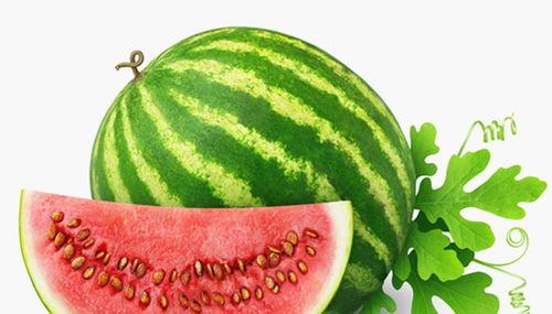 娱乐吃瓜酱一半是植物人